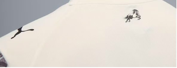 Manchester City x Year of the Horse