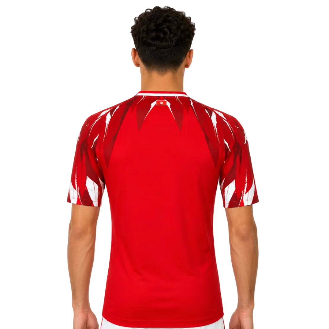 Tunisia Away Player Version World Cup jersey 2026 – amzunit