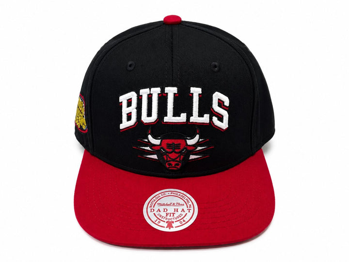 Bulls Dynasty Snapback