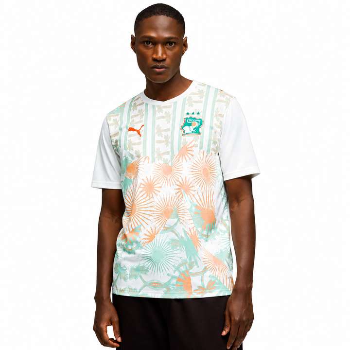 Ivory Coast Away World Cup jersey 2026