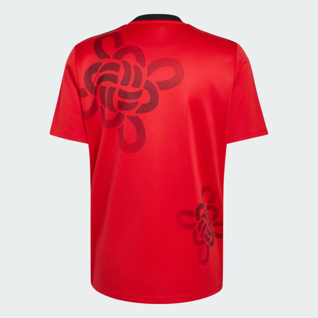 Manchester United Cultural Story Jersey
