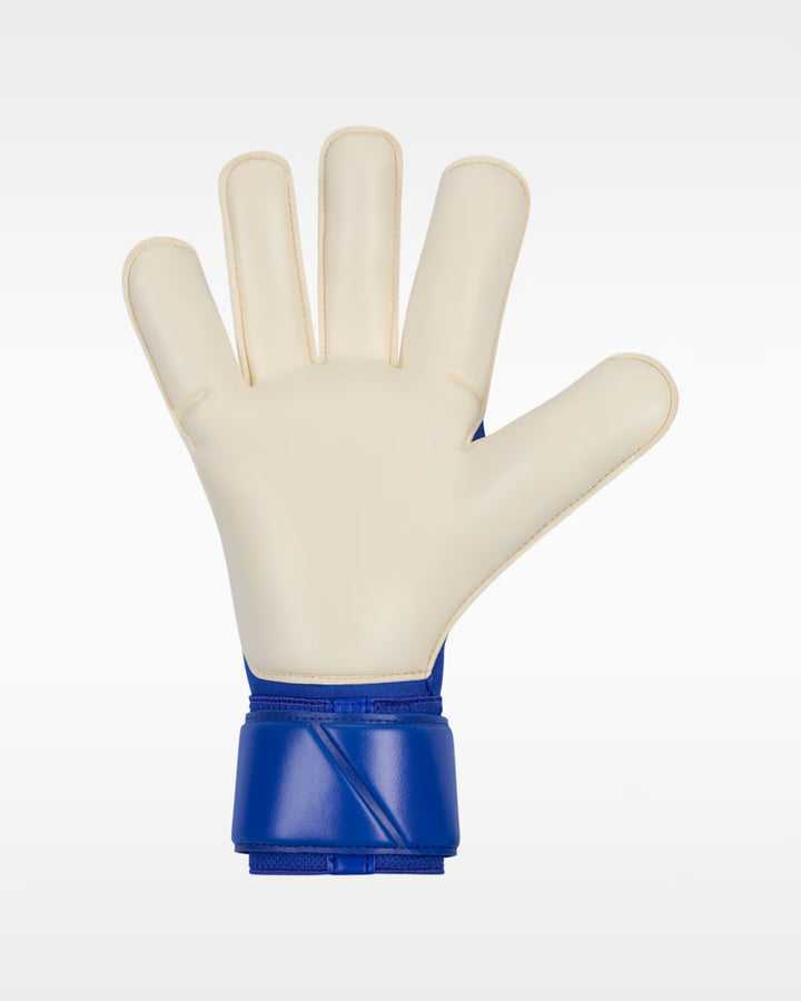 Nike Vapor Grip3 GK Gloves