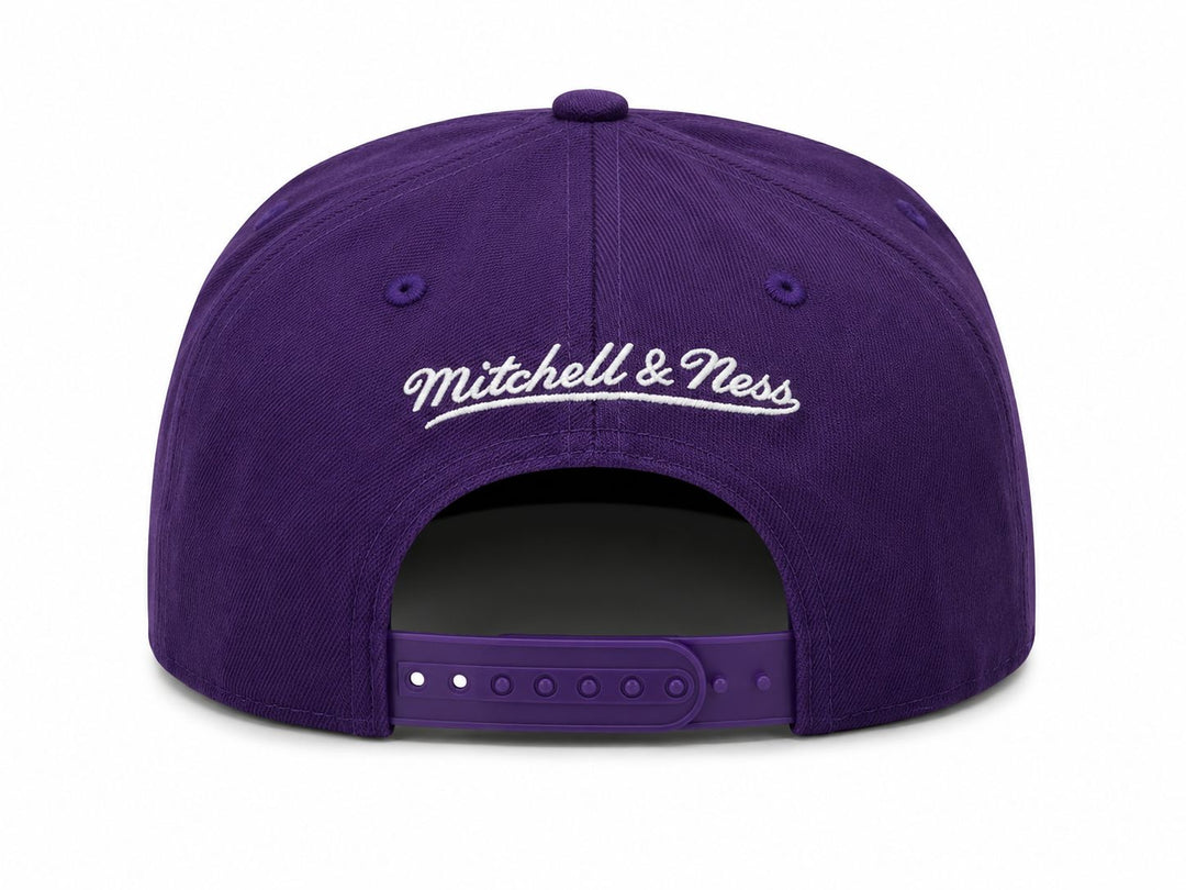 Purple Dynasty Snapback