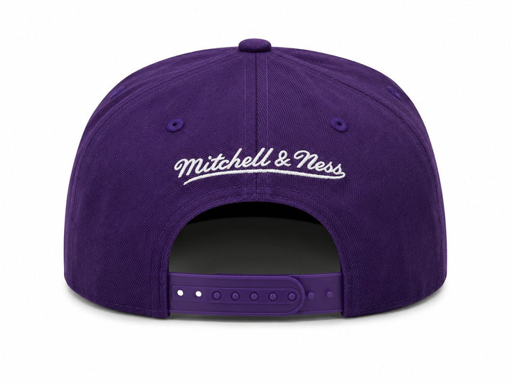 Purple Dynasty Snapback
